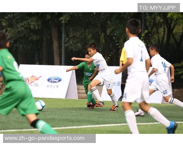 以娃娃足球星级体系为核心推动青少年足球全面素质与竞技水平提升路径研究